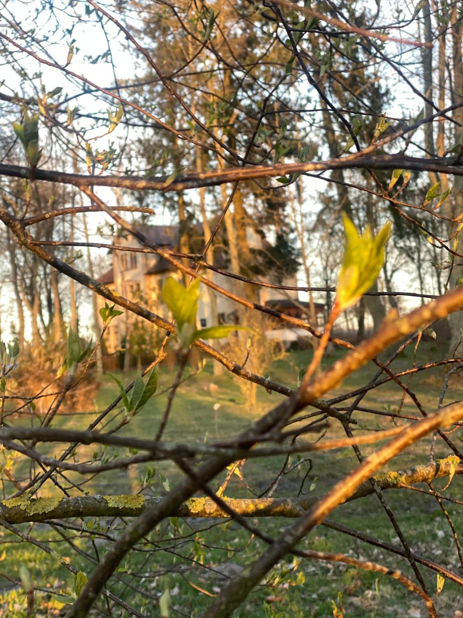 Pałac Poraj * Wicko (Pomerania)