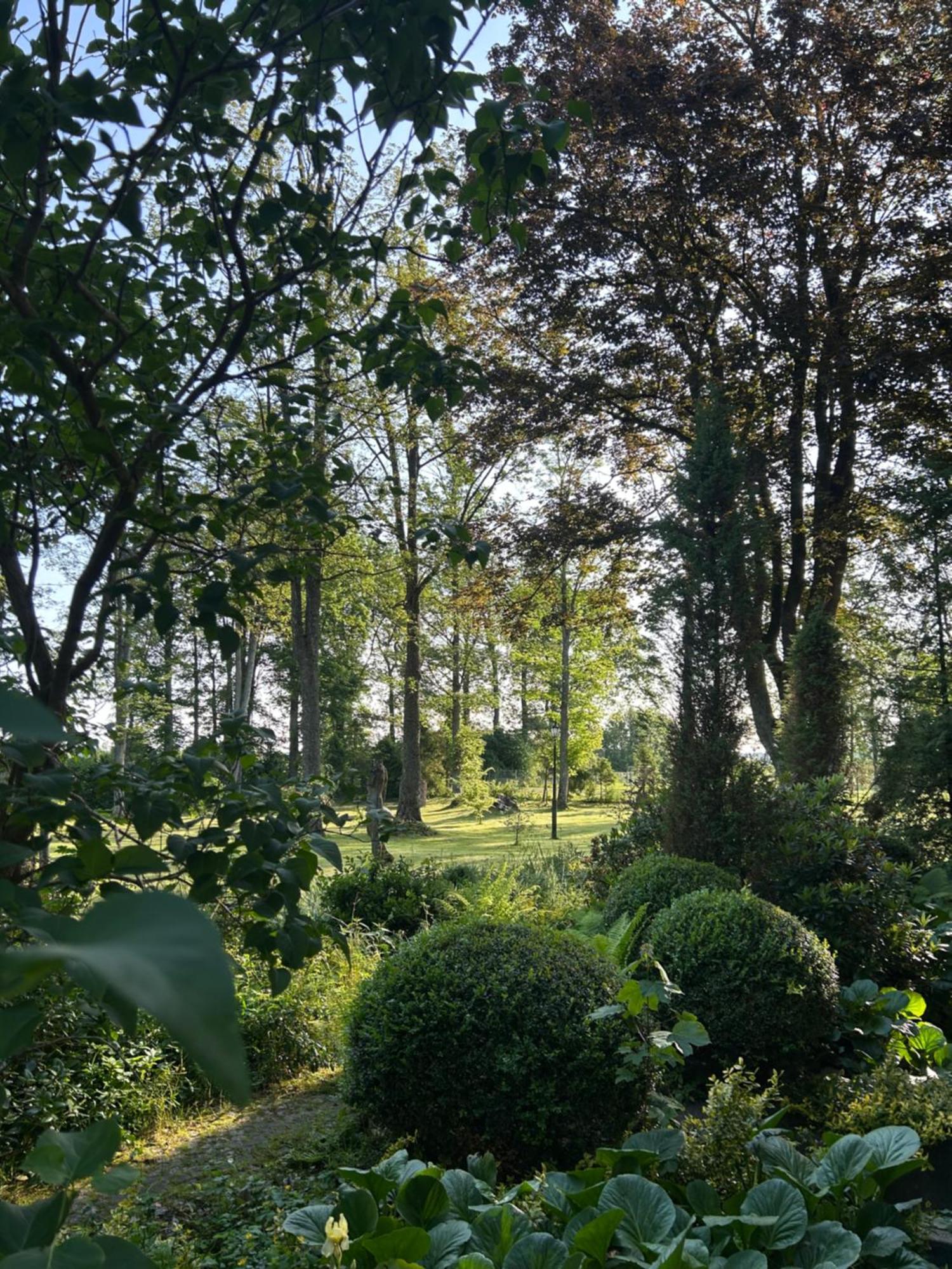 Bed and breakfast Palac Poraj